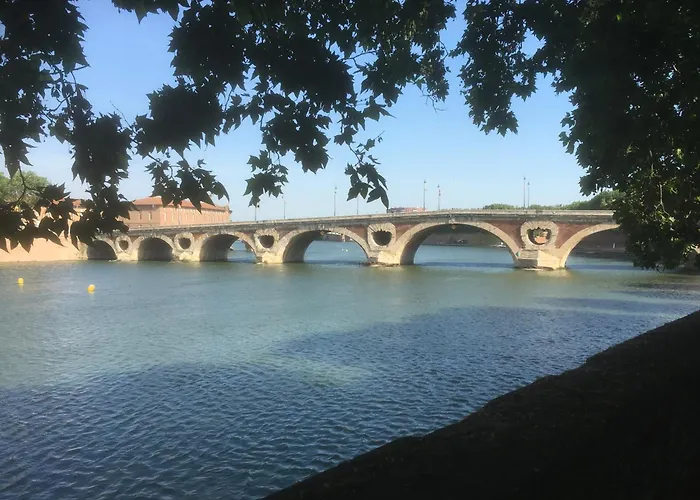 Le Bord De Garonne * Toulouse